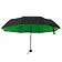 Зонт Glamour, зелёный