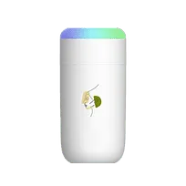 Светодиодный USB увлажнитель Огайо, белый