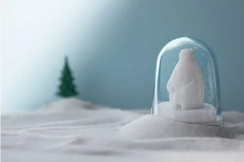 Ёмкости для специй в наборе Animal Parade