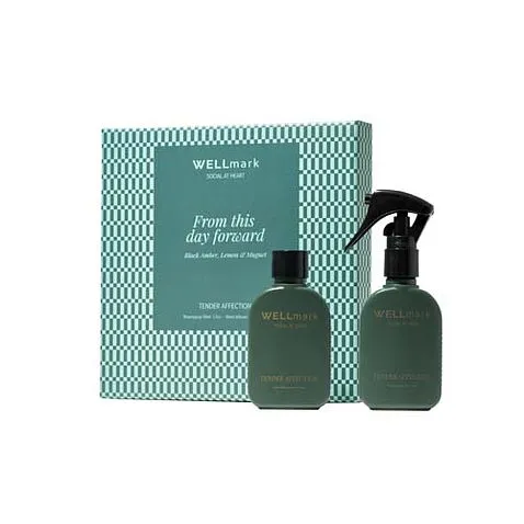Подарочный набор Wellmark Tender Affection, включающий ароматизатор для помещений объемом 50 мл и ароматизатор для диффузор - Green Flash